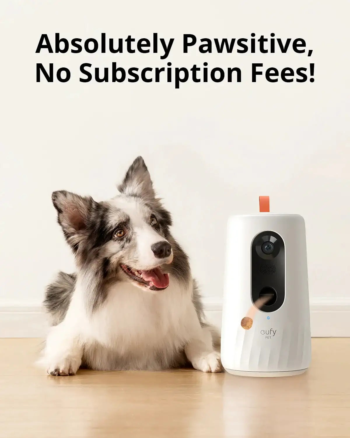 eufy Security Pet Camera for Dogs and Cats, On-Device AI - GulfStore.com