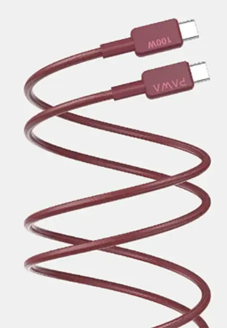 PAWA EL-CARO PREMIUM BRAIDED CABLE USB-C TO USB-C 100W 1.2M (PW-12B100CC-BUR) - GulfStore.com