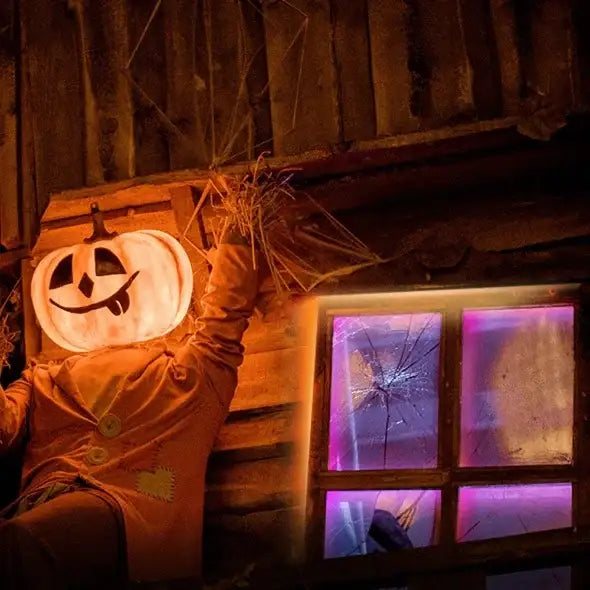 TP-Link Smart Light Strip Multi Color - 5 Meter - GulfStore.com