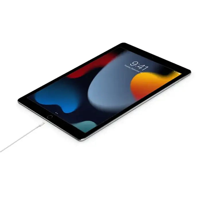 Apple USB-C to Lightning Cable (1M) - GulfStore.com