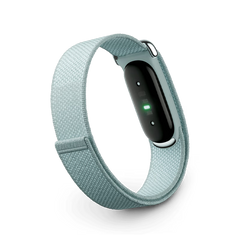 GA11015 | Google Fitbit Air Fitness Tracker | Fog