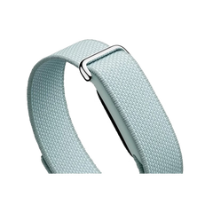 GA11015 | Google Fitbit Air Fitness Tracker | Fog