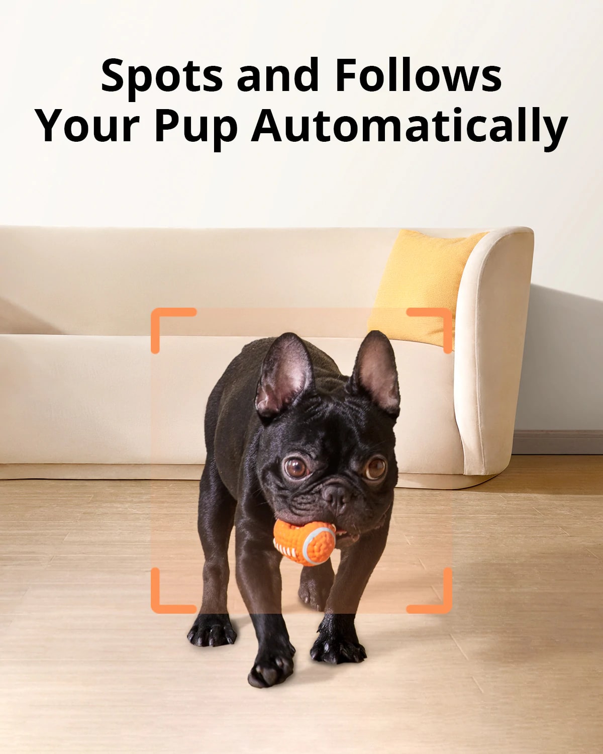 eufy dog camera