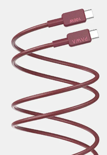 كابل باوا إل كارو المضفر الممتاز USB-C إلى USB-C 100 واط 1.2 متر (PW-12B100CC-BUR)