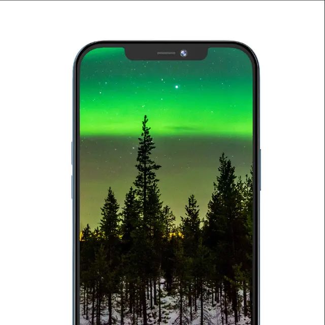 Green Privacy Glass Screen Protector Iphone11 PRO MAX  6.5 - Black