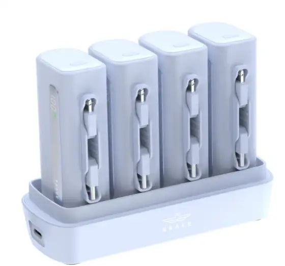 17985 , BP-23P , Brave , 4 in 1 Power Station Blue - GulfStore.com