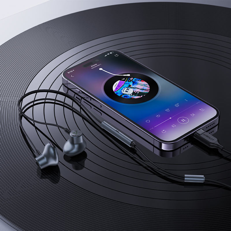 AceFast | 15919 | L2 | Usb C Wired Earphones | Black