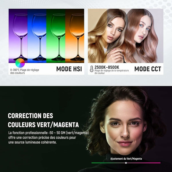 Neewer 2×RGB1200 APP LED LIGHT 60W V4+2×200CM LIGHT STAND+BAG(EU)