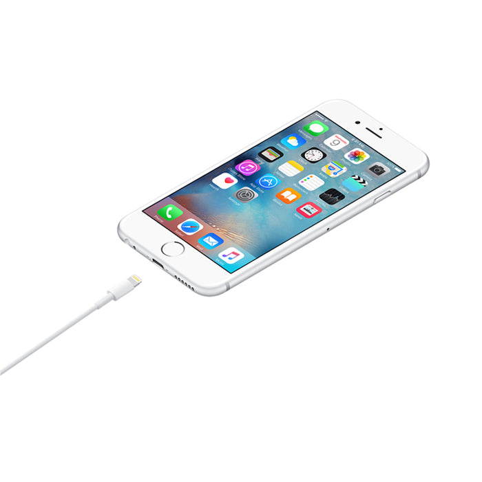Apple Lightning to USB Cable - 1M