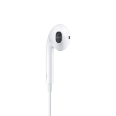 apple headphones